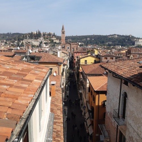 Palazzo Maffei Casa Museo