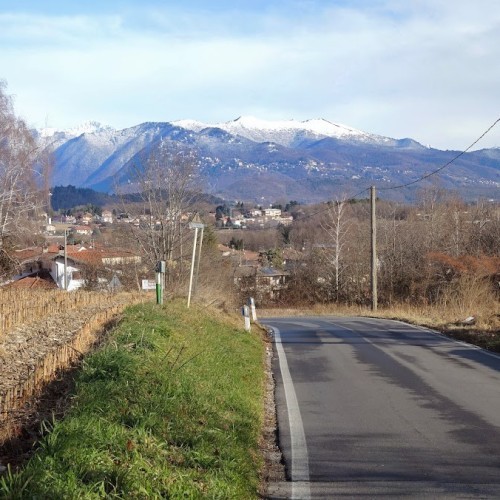 Parco della Pineta di Appiano Gentile e Tradate