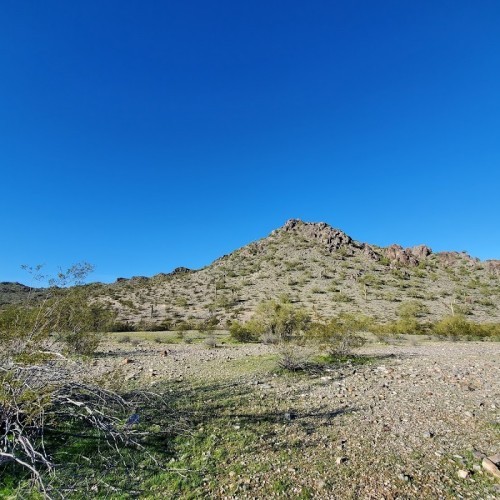 Phoenix Mountains Preserve