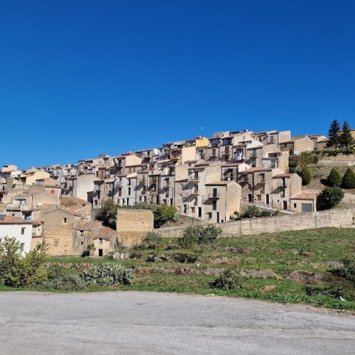 Pineta di Grotta Grattara