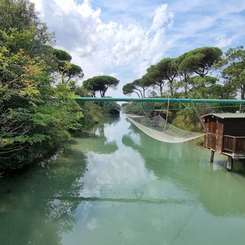 Pineta di Milano Marittima