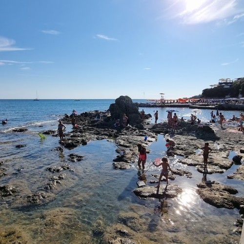 Pineta Marradi