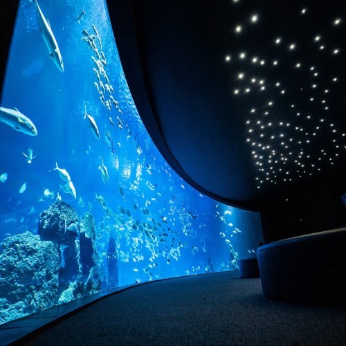 Poema del Mar Aquarium