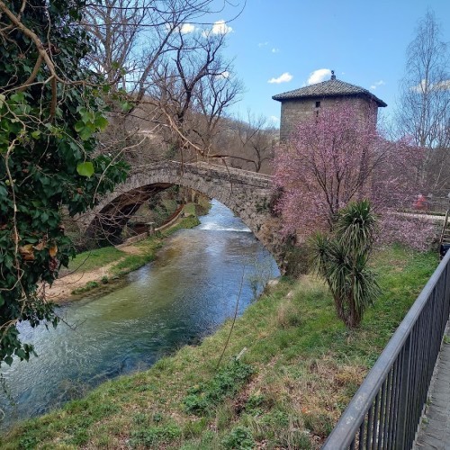 Ponte di San Francesco