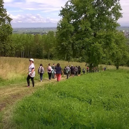 Porto Nuovo di Coniolo