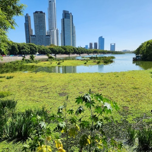 Reserva Ecológica Costanera Sur