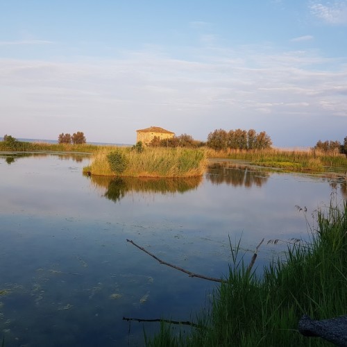 Riserva Naturale Regionale Sentina