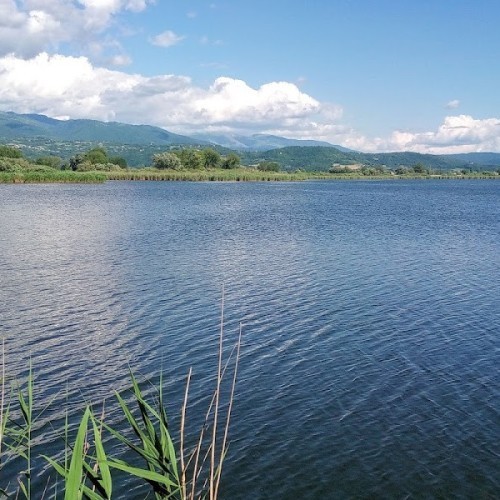 Riserva parziale naturale dei Laghi Lungo e Ripasottile