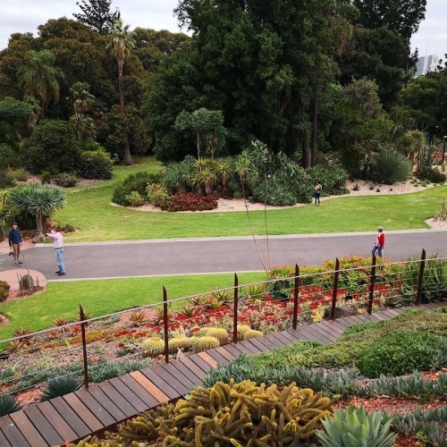 Royal Botanic Gardens Victoria - Melbourne Gardens