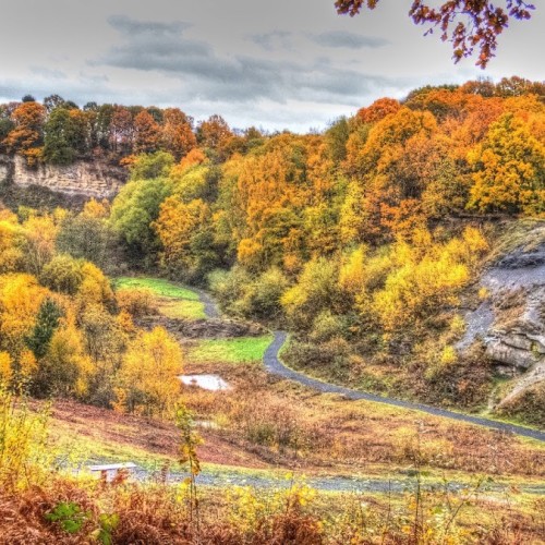 Saltwells Local Nature Reserve