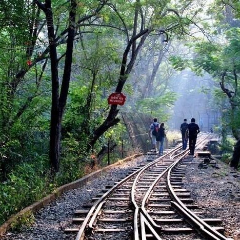 Sanjay Gandhi National Park