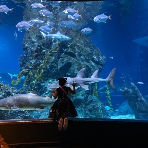 SEA LIFE Bangkok Ocean World