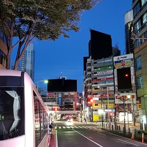 Shibuya Scramble Crossing