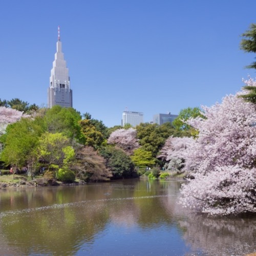 Shinjuku Gyoen National Garden