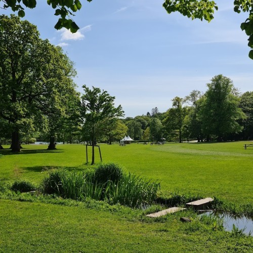 Slottsskogen