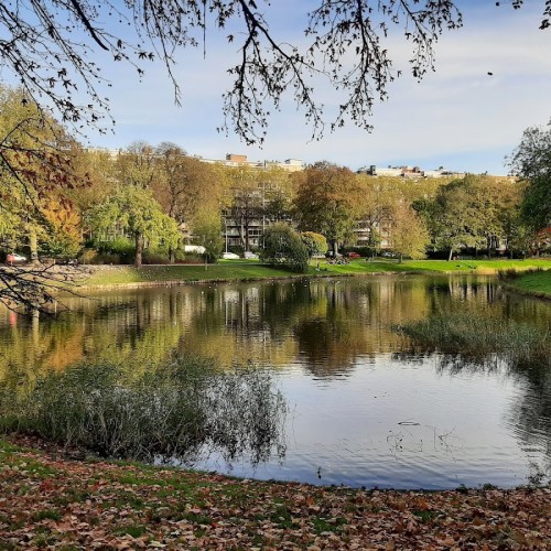 Stadspark