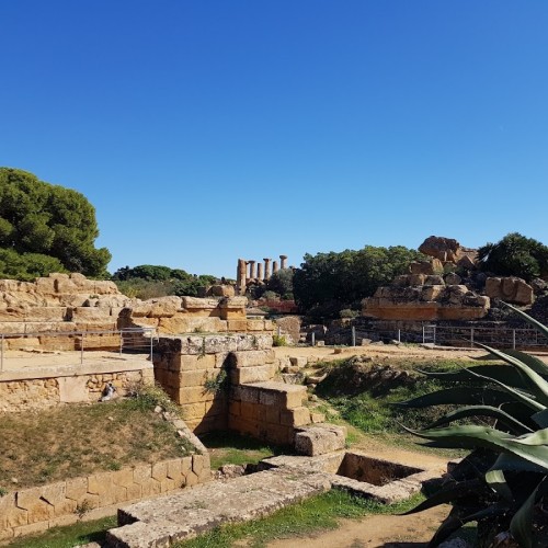 Tempio di Zeus Olimpio (Tempio di Giove)