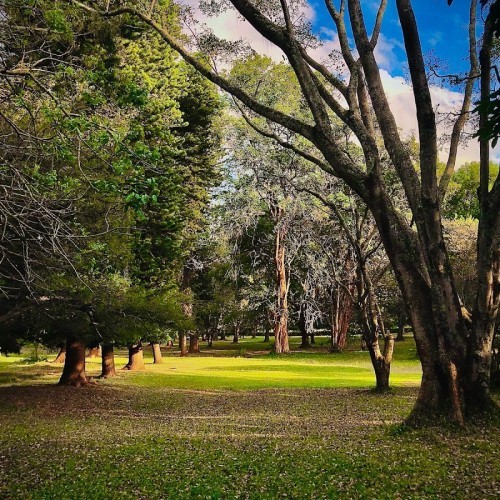 The Nairobi Arboretum