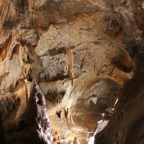 Toirano Cave