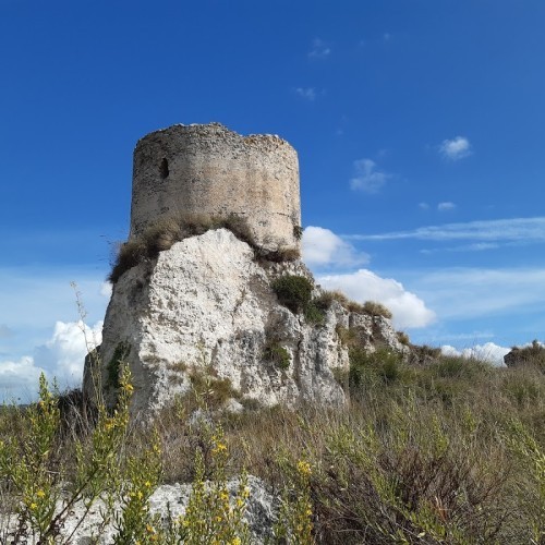 Torre Marrana
