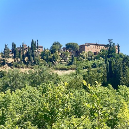 Truffle in Tuscany - Truffle Hunting Experience