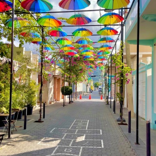 Umbrella Street