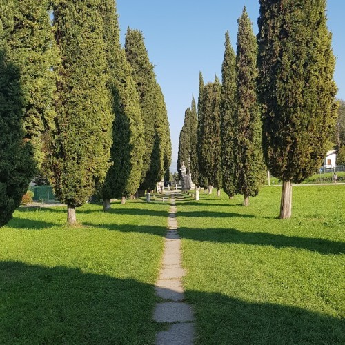 Viale dei Cipressi