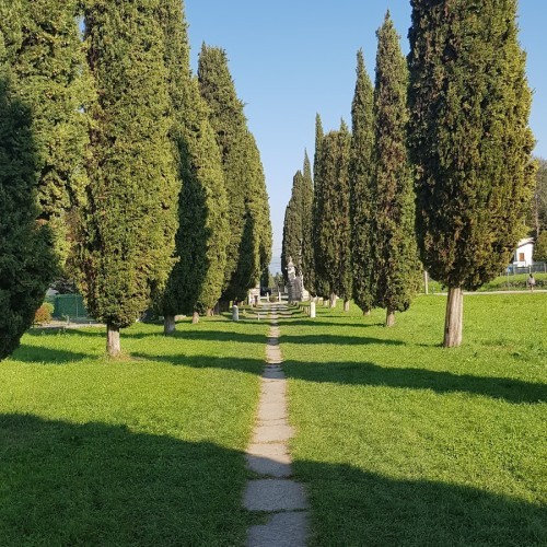 Viale dei Cipressi