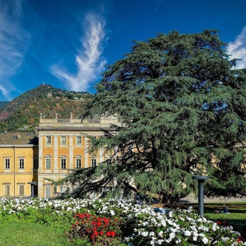 Villa Olmo