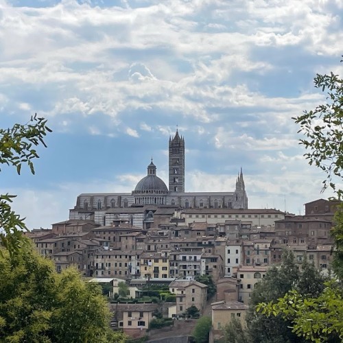 Vista Panoramica di Siena