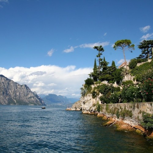 Wonderful Viewpoint