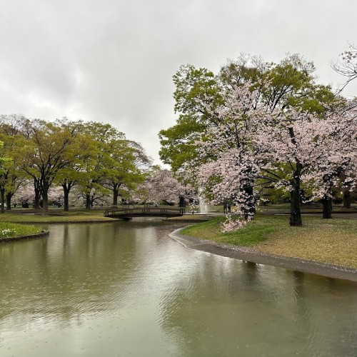 Yoyogi Park