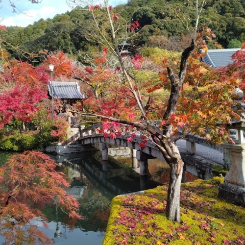 Zenrinji (Eikandō) Temple