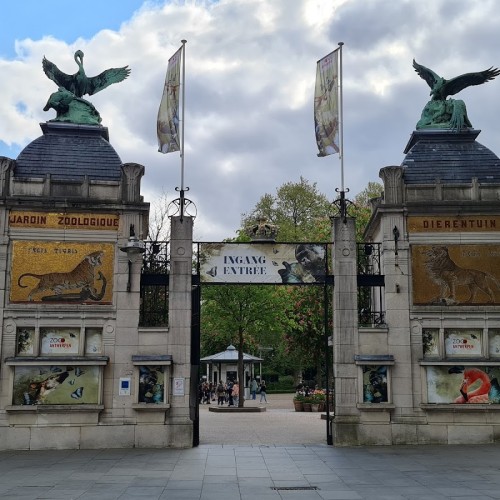 Zoo di Anversa